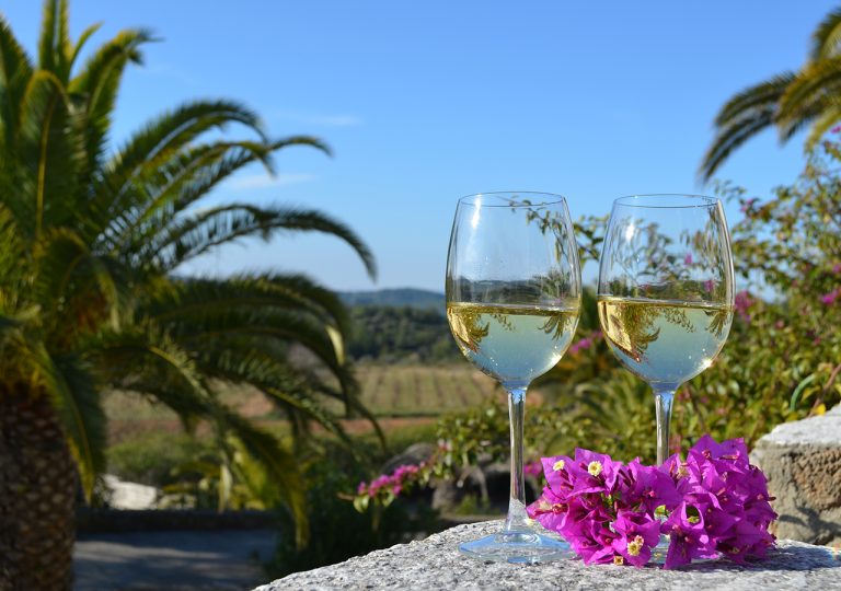 Flats for sale in salomo 2 768x540