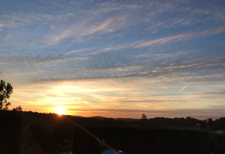 Flats for sale in salomo 4 768x527