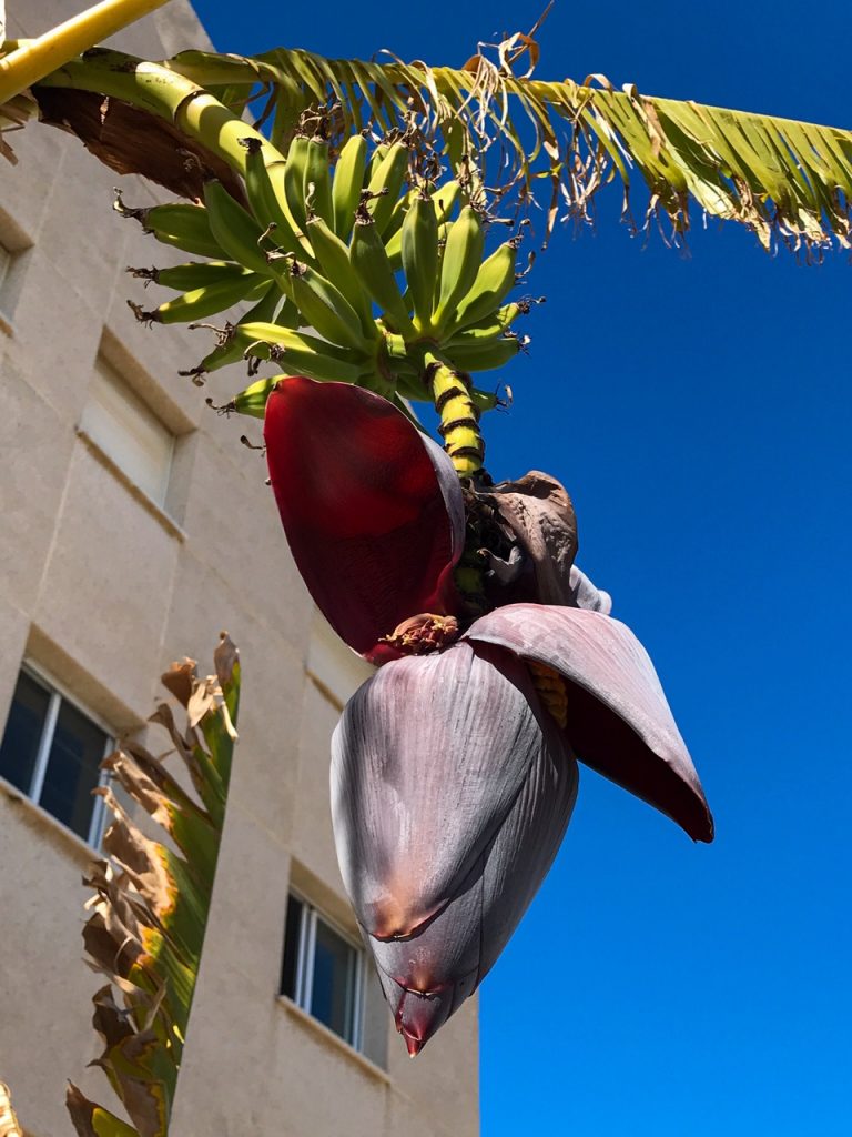 duplex in cunit for sale 22 768x1024