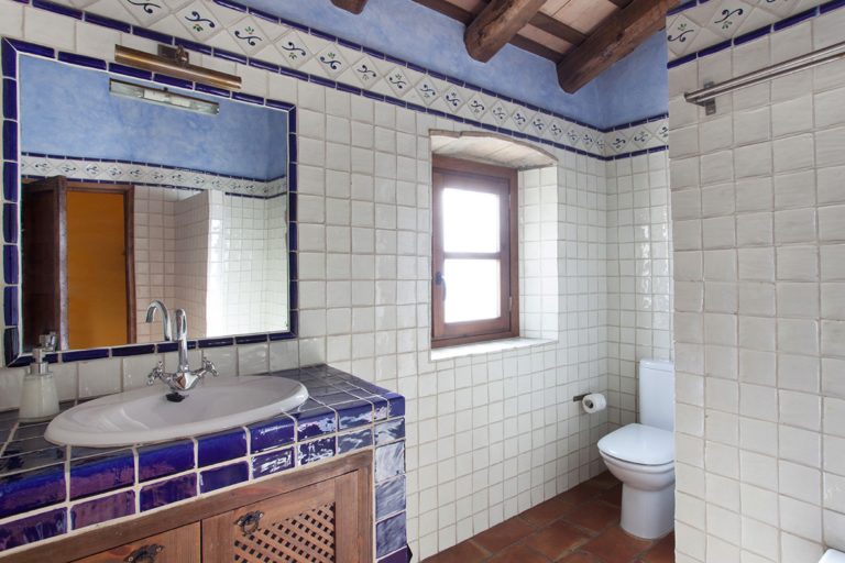 chracter property with a profitable rental business 10 768x512