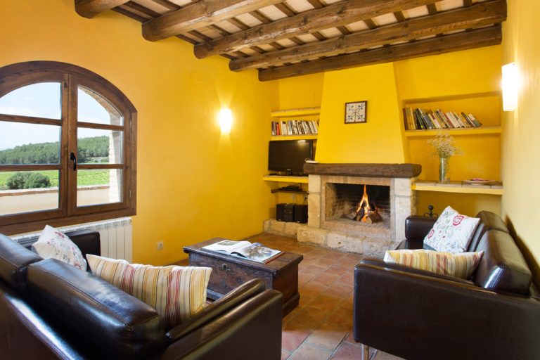 chracter property with a profitable rental business 13 768x512