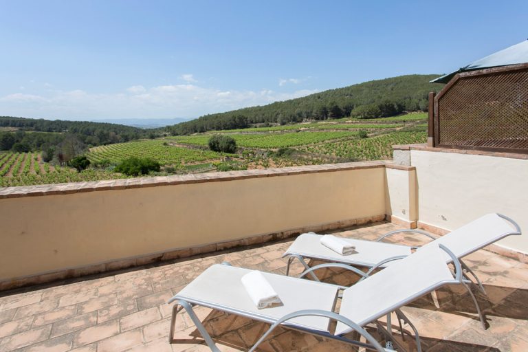 chracter property with a profitable rental business 14 768x512