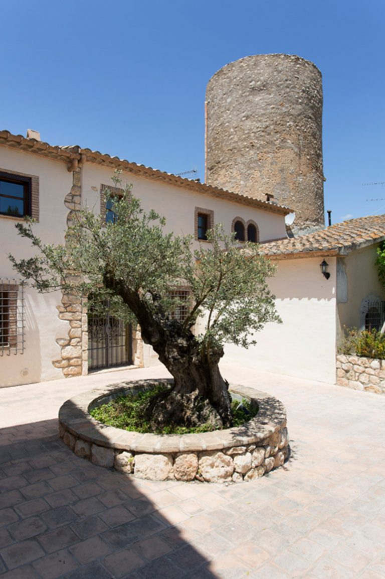 chracter property with a profitable rental business 4 768x1153