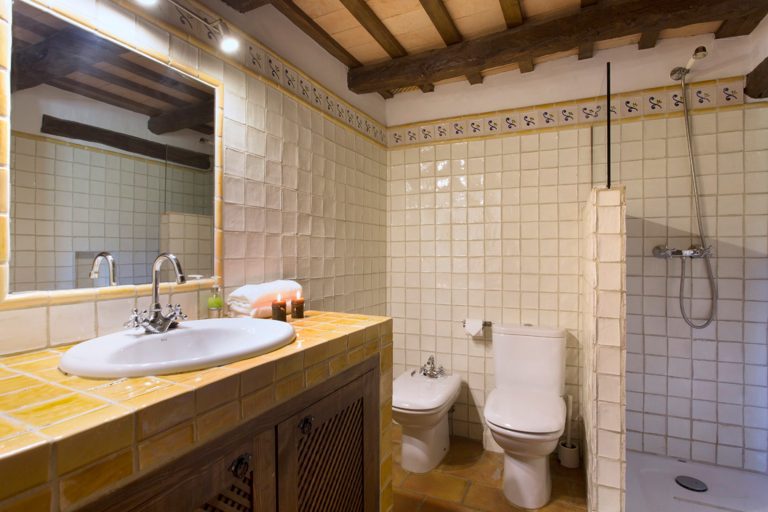 chracter property with a profitable rental business 8 768x512