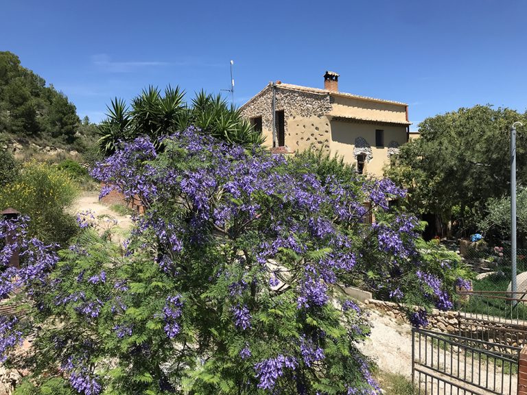 CASA RUSTICA EN VENTA EN VESPELLA DE GAIA.40 768x576