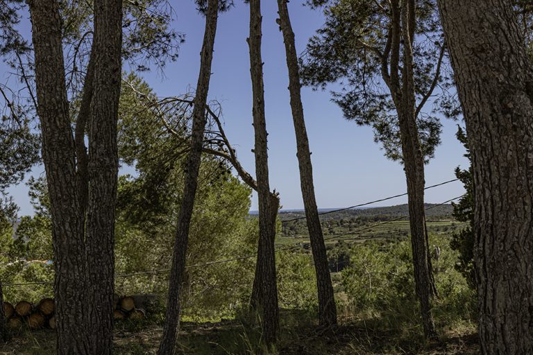 terreno en venta en vespella tarragona cataluna espana 6 768x512