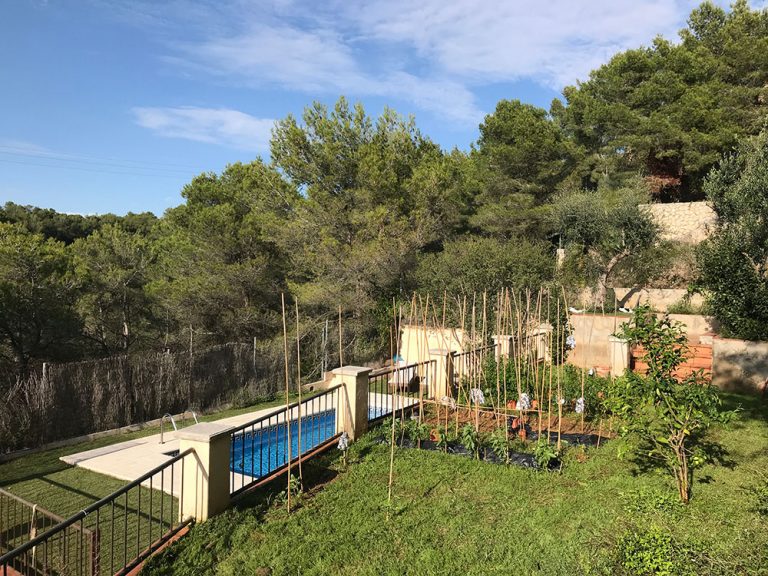 CASA CALIFORNIA 9893 768x576