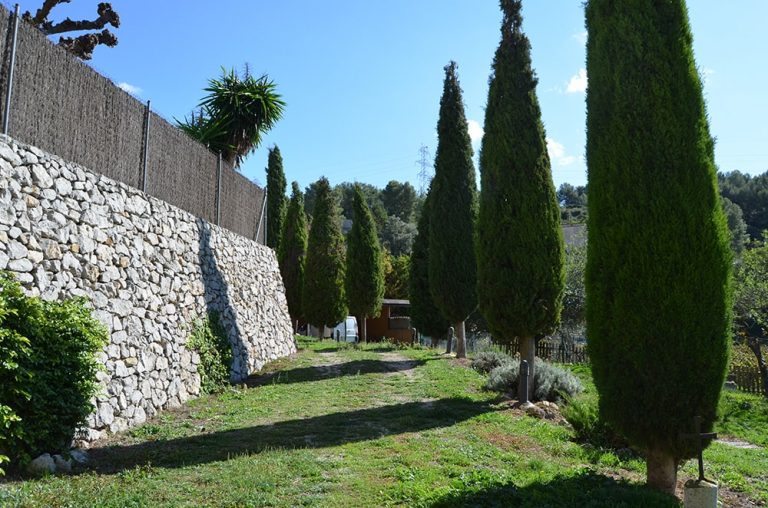 GUNYOLES DSC 0937 min 768x508