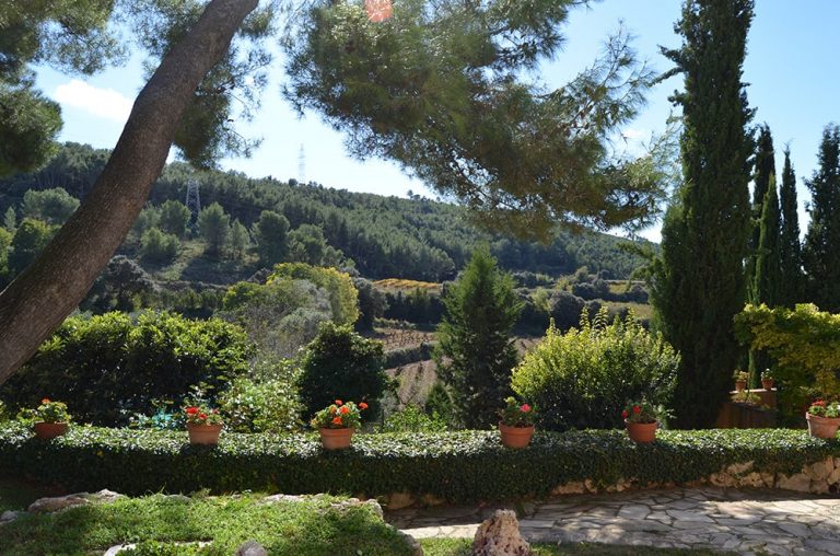 GUNYOLES DSC 0999 min 768x508