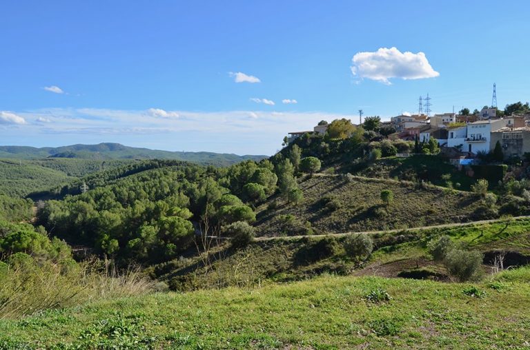 GUNYOLES SURROUNDING min 768x508