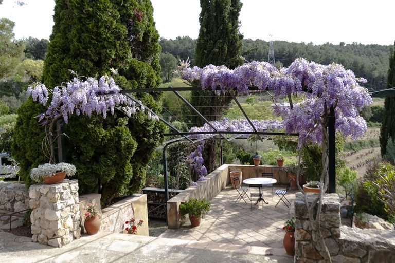 GUNYOLES TERRACE min 1 768x512