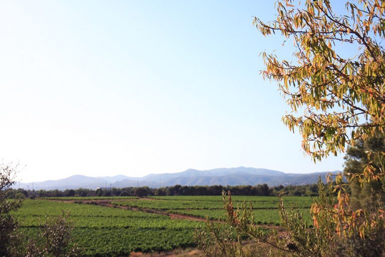 CASA RUSTICA SAIFORES 24 768x513