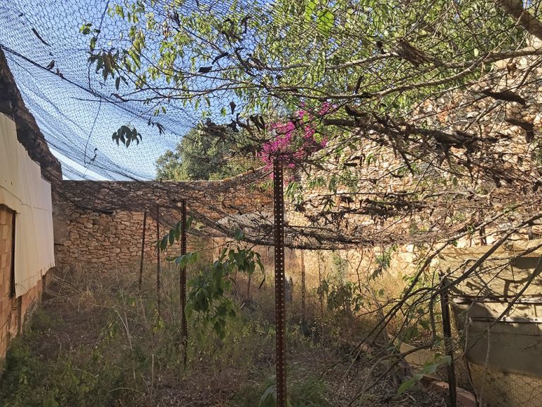 CASA RUSTICA SAIFORES 37 768x576