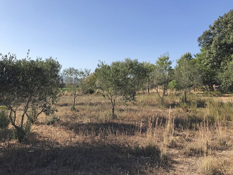 CASA RUSTICA SAIFORES 38 768x576