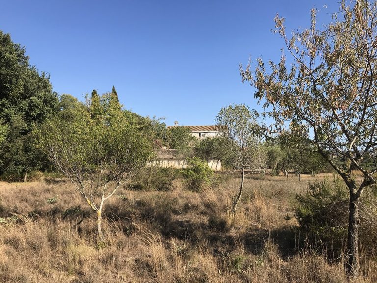 CASA RUSTICA SAIFORES 40 768x576