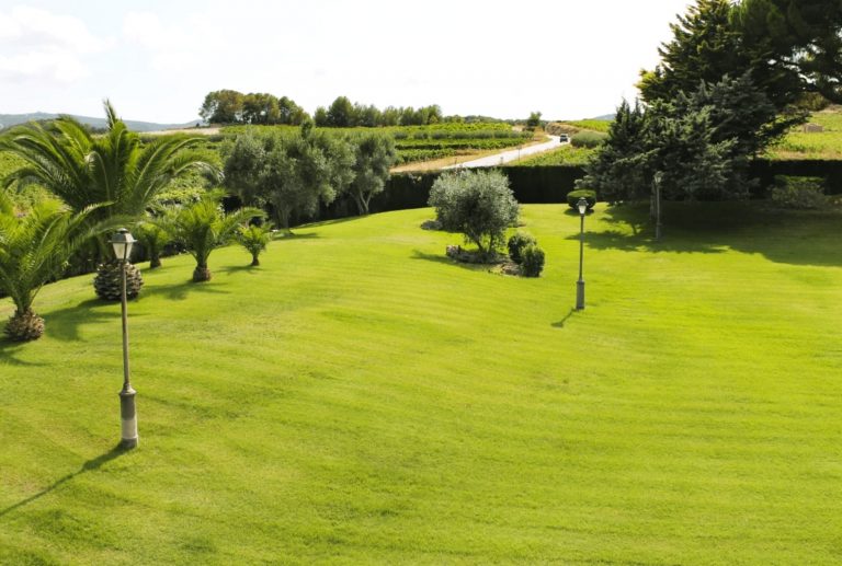 VILLA CARMEN VISTAS 768x517