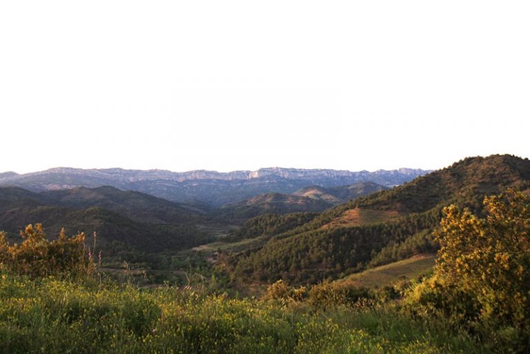 CASA TORROJA 23 768x513
